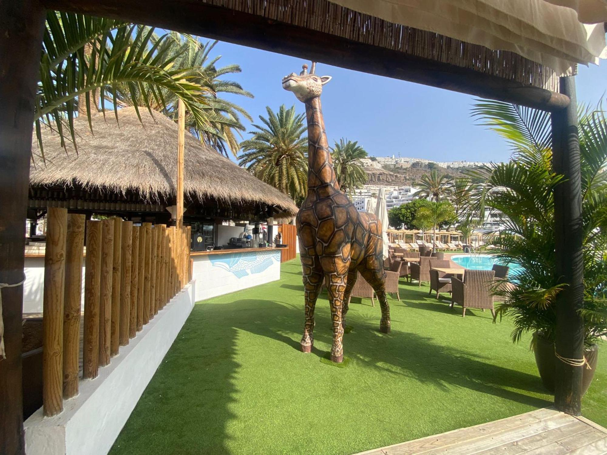 Appartement Cozy Modern House, In A Complex With A Swimming Pool à Porto Rico Extérieur photo